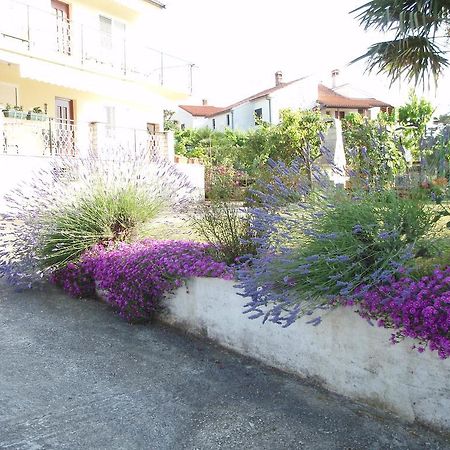 רוביני Guest House Jasmin מראה חיצוני תמונה