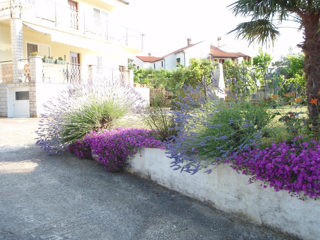 רוביני Guest House Jasmin מראה חיצוני תמונה