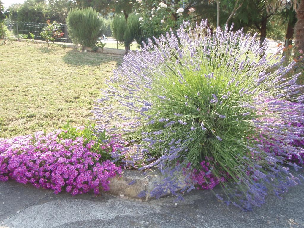 רוביני Guest House Jasmin מראה חיצוני תמונה